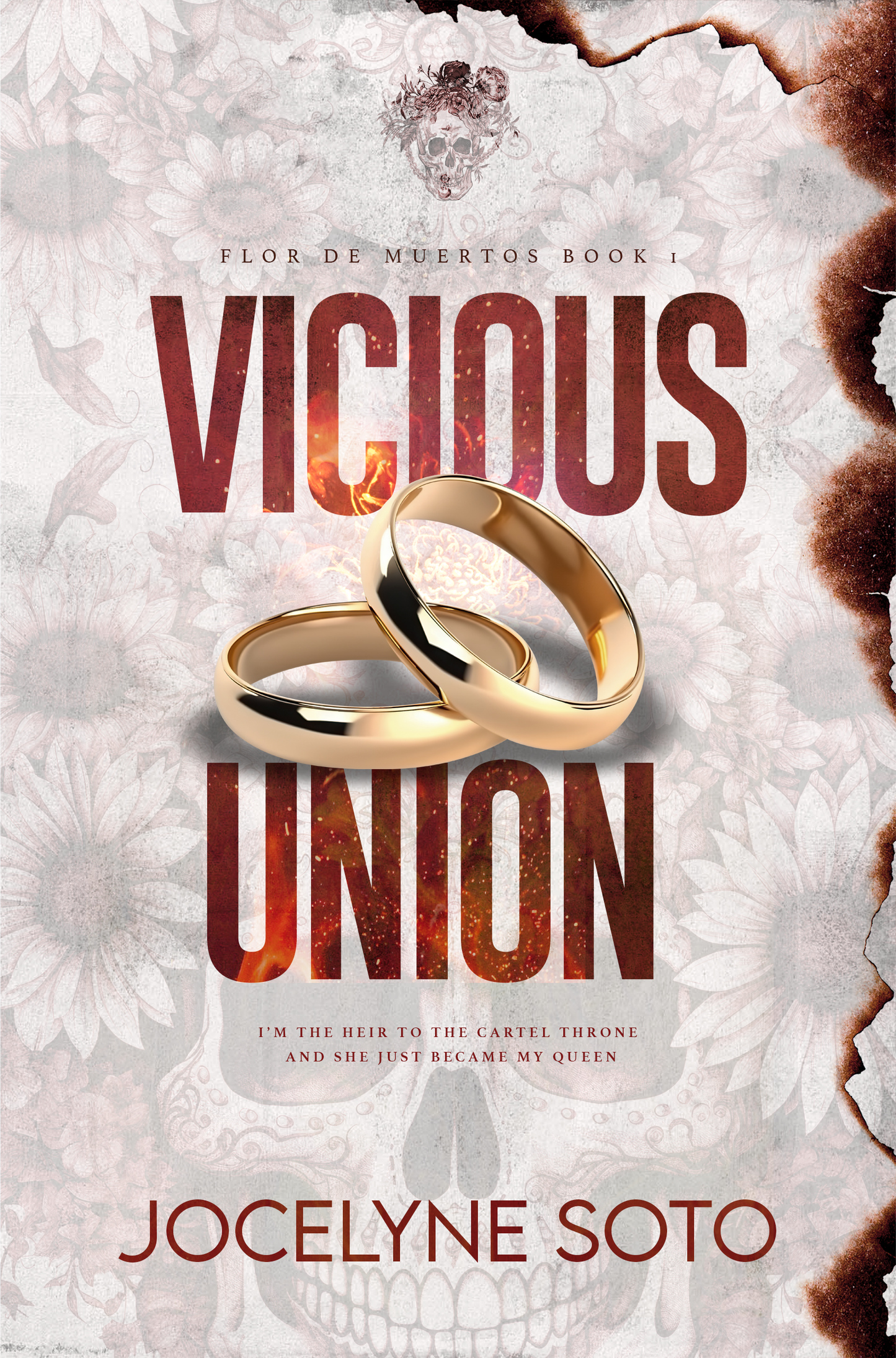 Vicious Union: Anniversary Edition